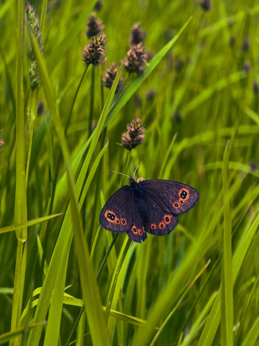 #5 Život v horách: keď solárna energia nestačí a ticho hovorí&nbsp;najhlasnejšie