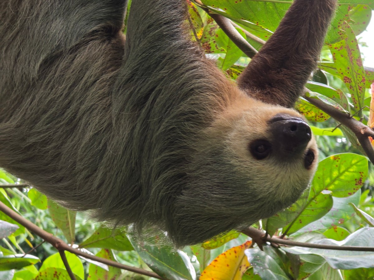 #17 Z Kostariky do Panamy: pešo cez most, noc v Davide a plán na Panamský&nbsp;prieplav